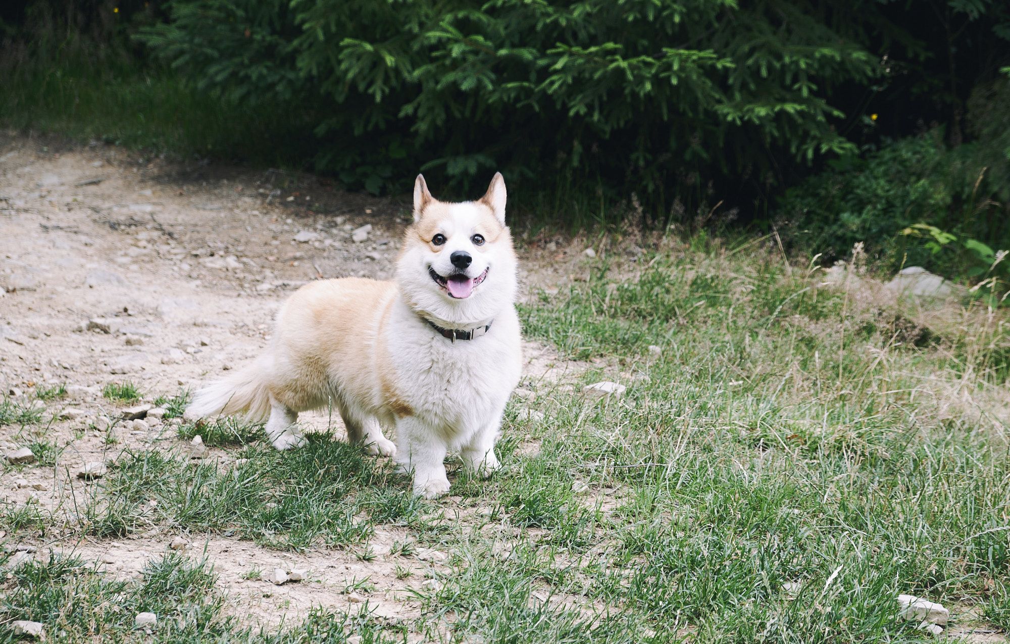 Keeping hands busy...