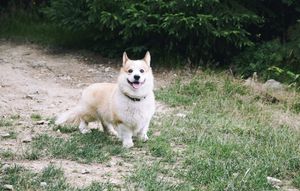 Keeping hands busy...